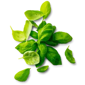 Picture - (max-width: 767px)